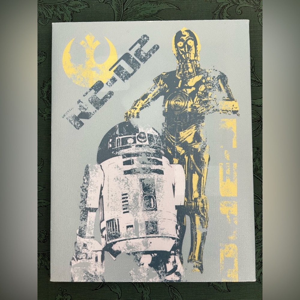 Star Wars Droid Canvas